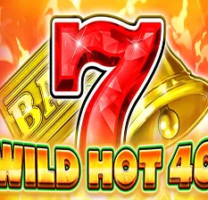 wild hot 40